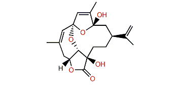 Coralloidolide B